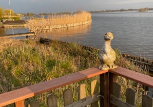 Aussicht auf den See